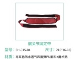海绵樱桃视频大全免费高清版观看有什么特点？